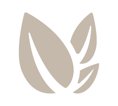 Vegan Vegan